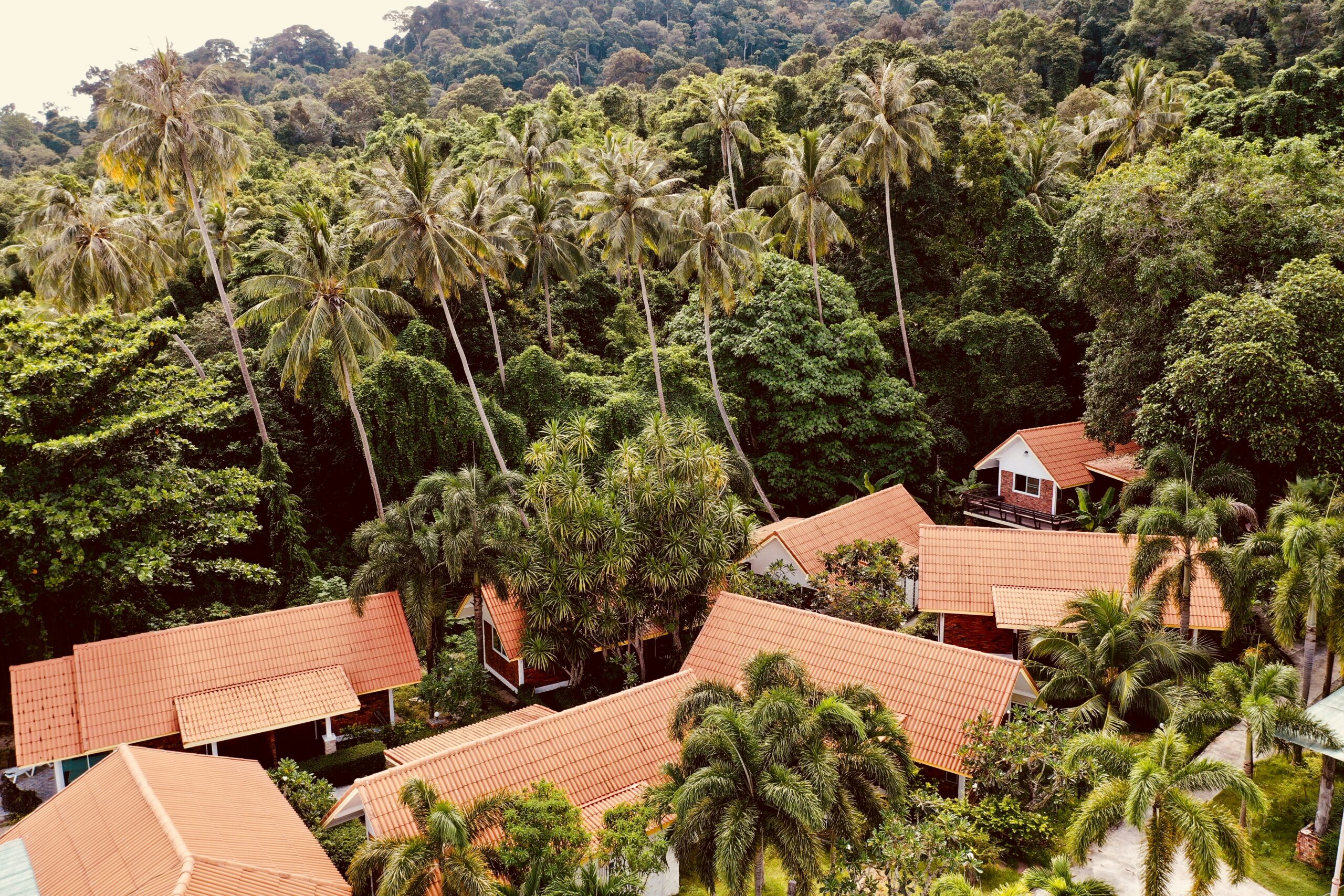 brown and white houses surrounded by green trees at daytime